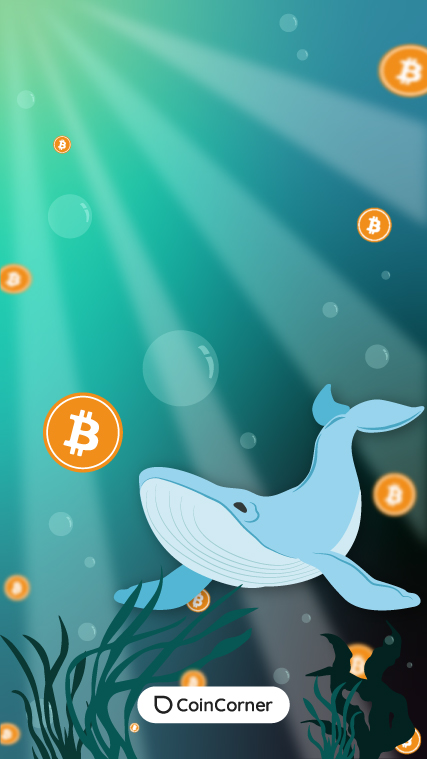 Bitcoin Whale Wallpaper